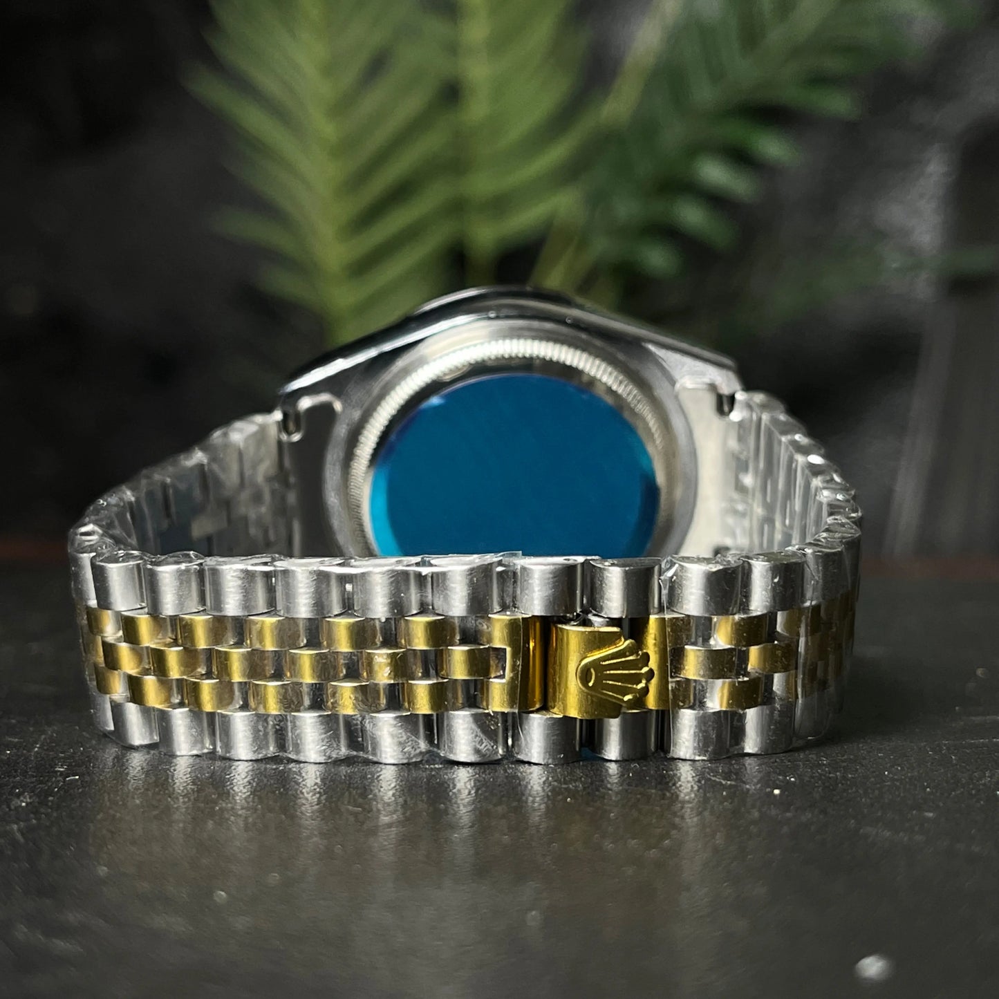 Roli Oyster Prepetuall